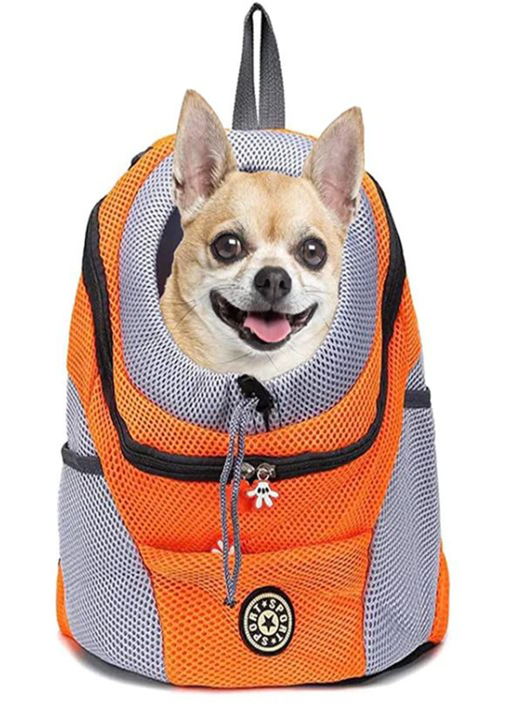 Puppy wearing nice and soft harness vest